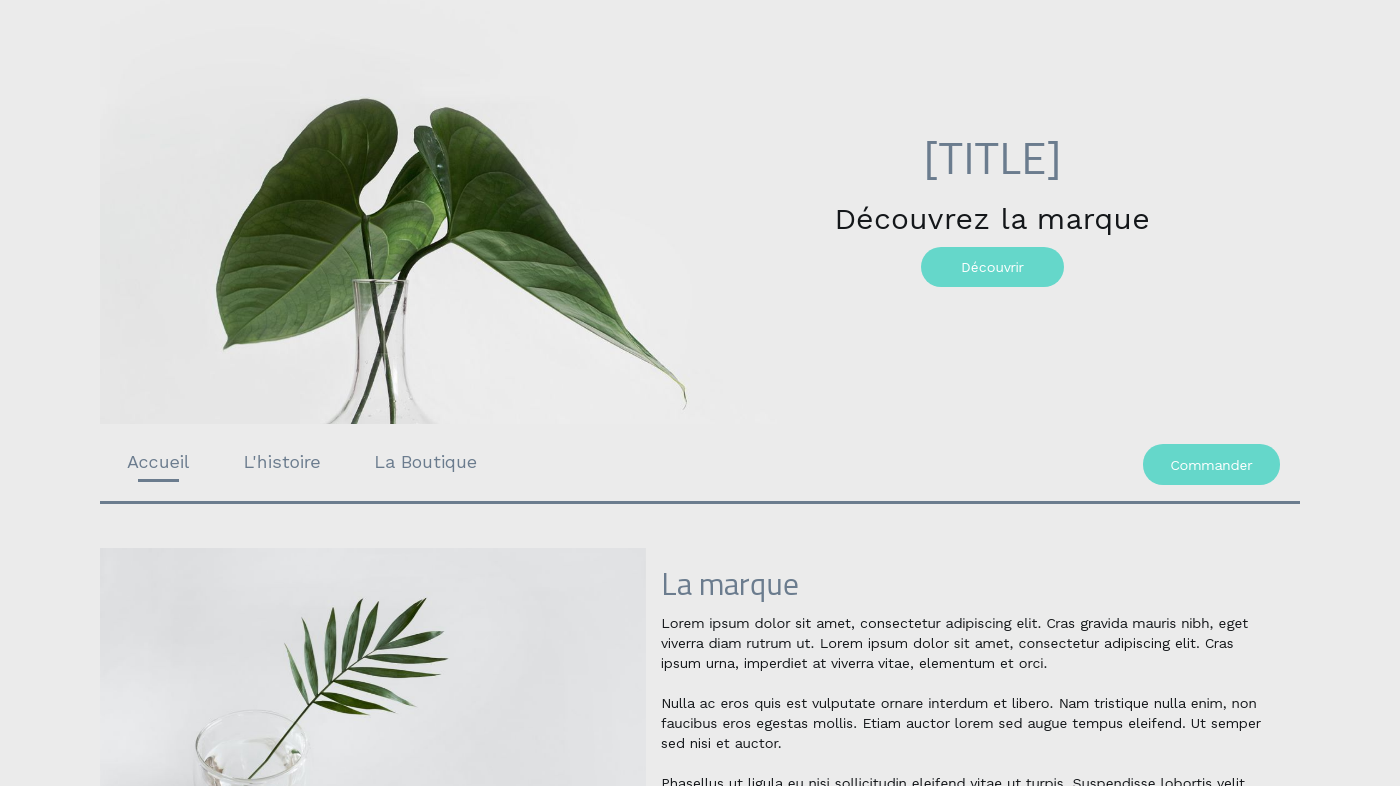 Créer son site gratuitement sans pub