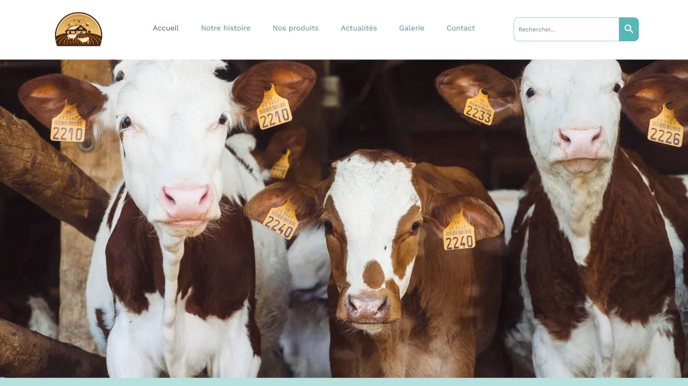 Site gratuits