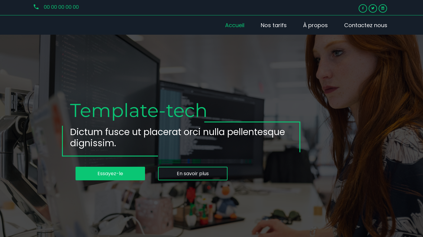 Thème pour la création de site de TechEnt